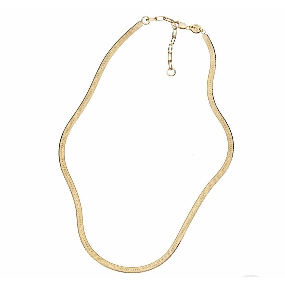 Jennifer Zeuner -14k HamiltonGold NWT IP Plating Necklace